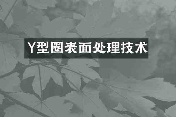 Y型圈表面处理技术