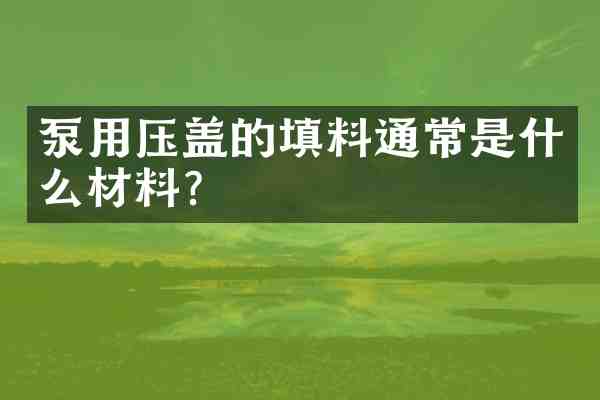 泵用压盖的填料通常是什么材料?