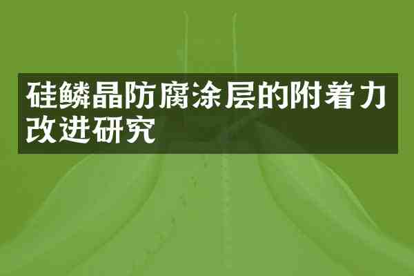 硅鳞晶防腐涂层的附着力改进研究
