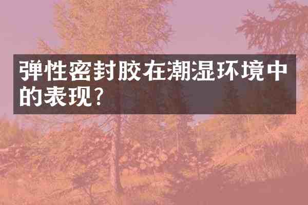 弹性密封胶在潮湿环境中的表现？