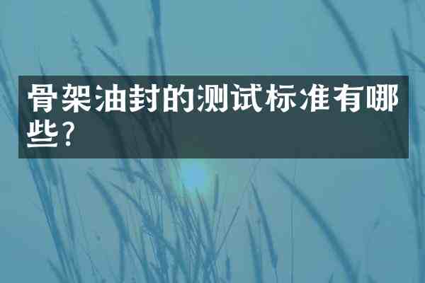 骨架油封的测试标准有哪些?