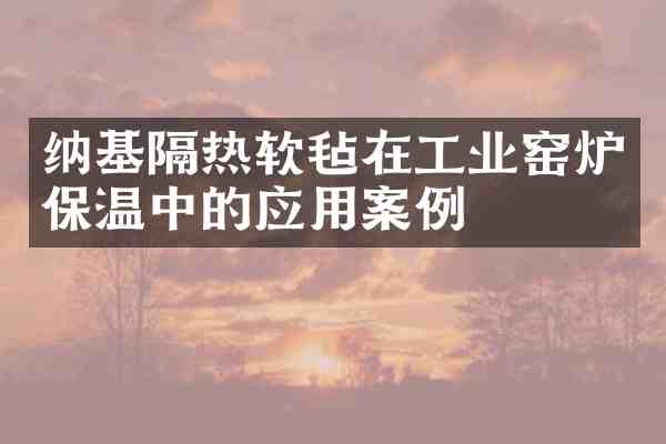 纳基隔热软毡在工业窑炉保温中的应用案例