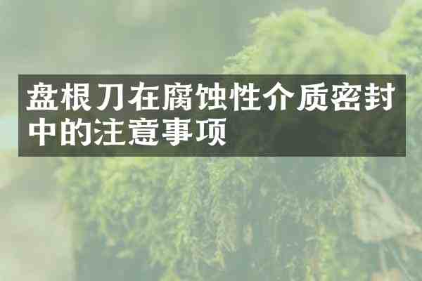 盘根刀在腐蚀性介质密封中的注意事项