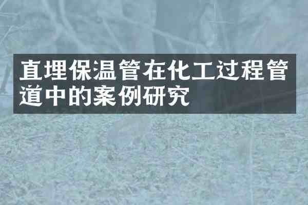 直埋保温管在化工过程管道中的案例研究
