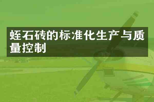 蛭石砖的标准化生产与质量控制