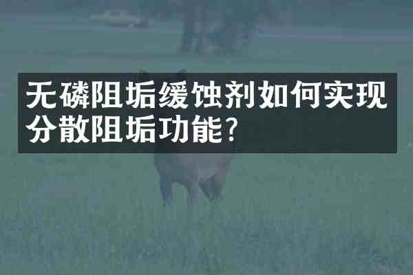 无磷阻垢缓蚀剂如何实现分散阻垢功能?