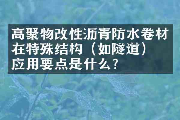 高聚物改性沥青防水卷材在特殊结构(如隧道)的应用要点是什么?