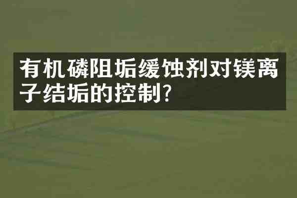 有机磷阻垢缓蚀剂对镁离子结垢的控制?