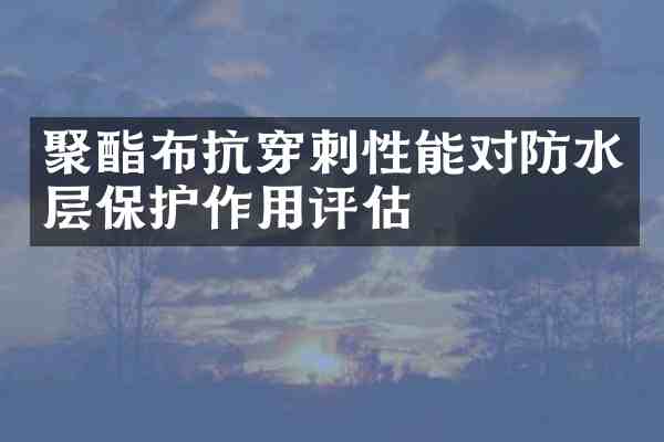 聚酯布抗穿刺性能对防水层保护作用评估