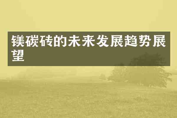镁碳砖的未来发展趋势展望