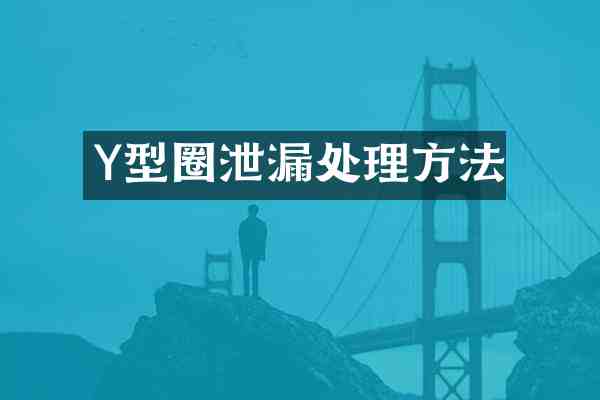 Y型圈泄漏处理方法