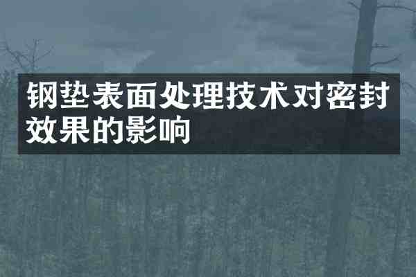 钢垫表面处理技术对密封效果的影响