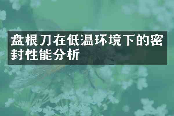 盘根刀在低温环境下的密封性能分析