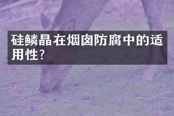 硅鳞晶在烟囱防腐中的适用性？