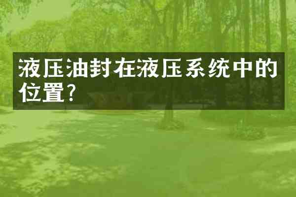 液压油封在液压系统中的位置?