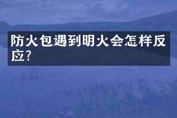 防火包遇到明火会怎样反应?