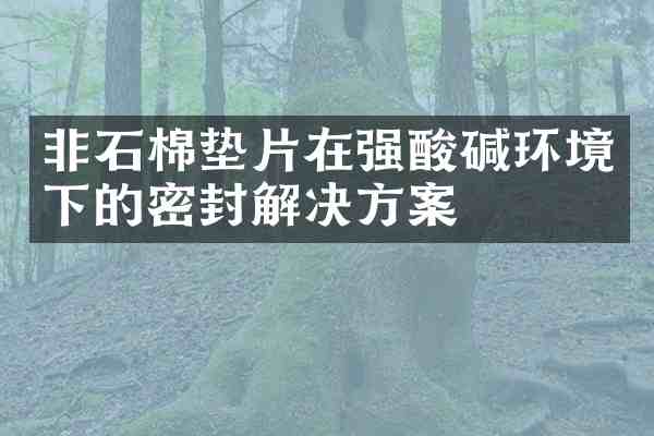 非石棉垫片在强酸碱环境下的密封解决方案