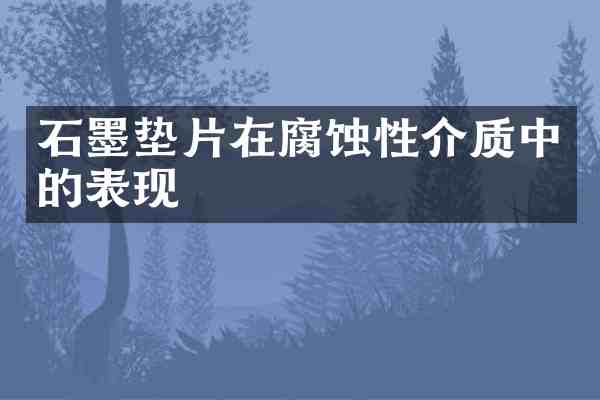 石墨垫片在腐蚀性介质中的表现