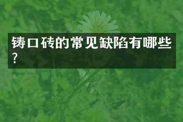 铸口砖的常见缺陷有哪些?