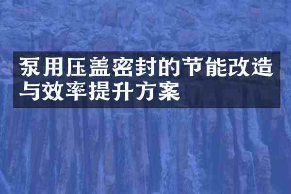 泵用压盖密封的节能改造与效率提升方案