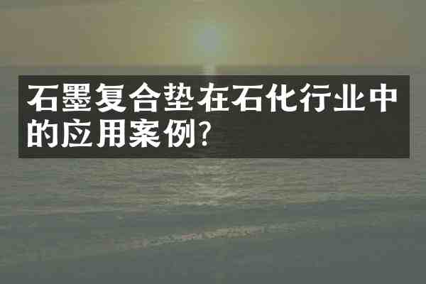 石墨复合垫在石化行业中的应用案例?