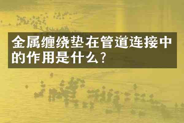 金属缠绕垫在管道连接中的作用是什么？