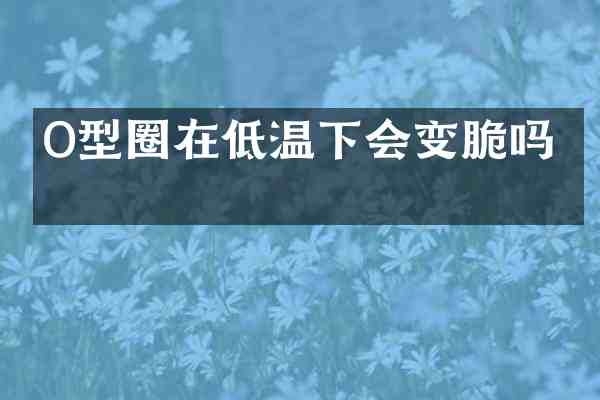 O型圈在低温下会变脆吗?