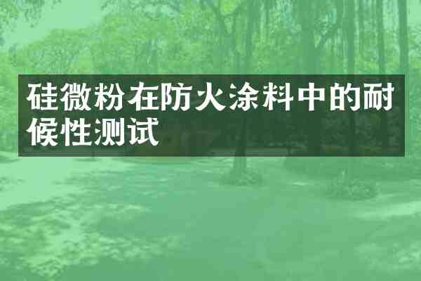 硅微粉在防火涂料中的耐候性测试