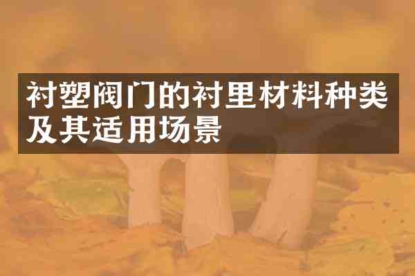 衬塑阀门的衬里材料种类及其适用场景