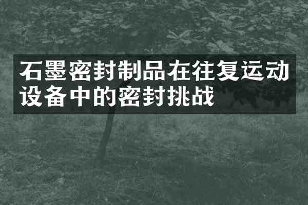 石墨密封制品在往复运动设备中的密封挑战