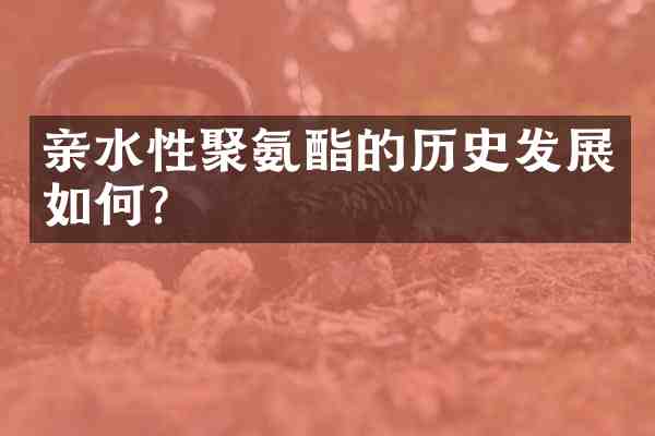 亲水性聚氨酯的历史发展如何?