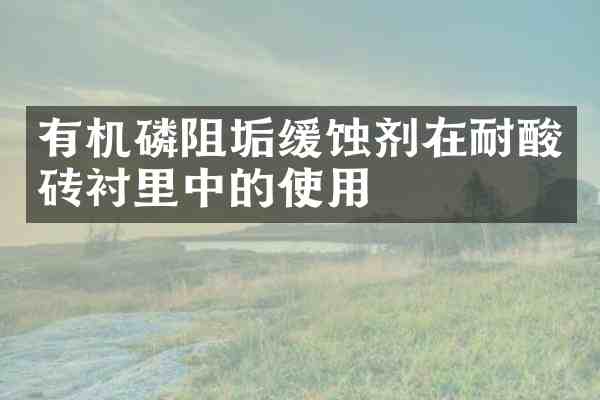 有机磷阻垢缓蚀剂在耐酸砖衬里中的使用