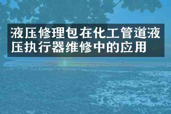 液压修理包在化工管道液压执行器维修中的应用?