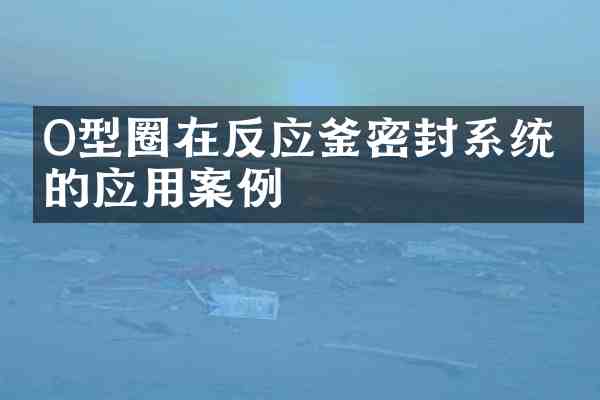 O型圈在反应釜密封系统中的应用案例