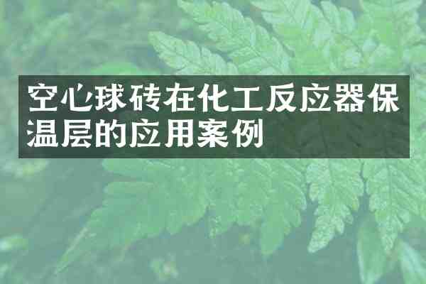 空心球砖在化工反应器保温层的应用案例