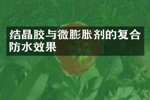 结晶胶与微膨胀剂的复合防水效果