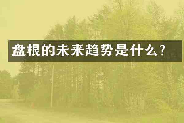 盘根的未来趋势是什么？