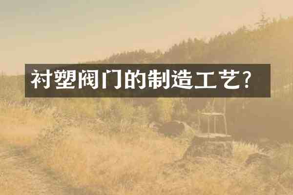 衬塑阀门的制造工艺?