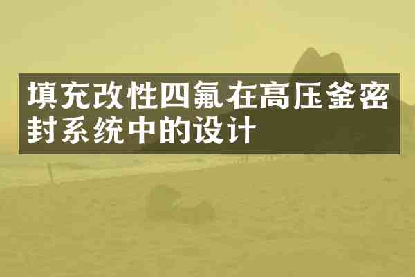 填充改性四氟在高压釜密封系统中的设计