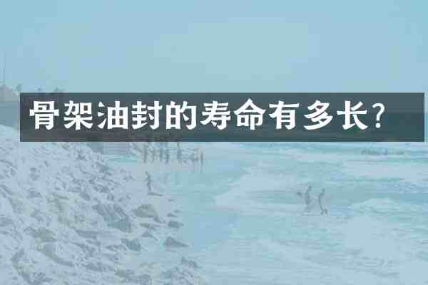 骨架油封的寿命有多长？