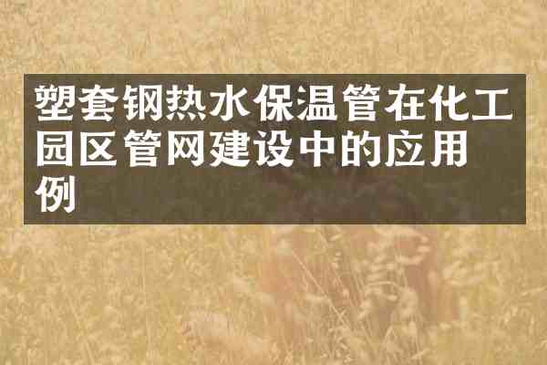 塑套钢热水保温管在化工园区管网建设中的应用案例
