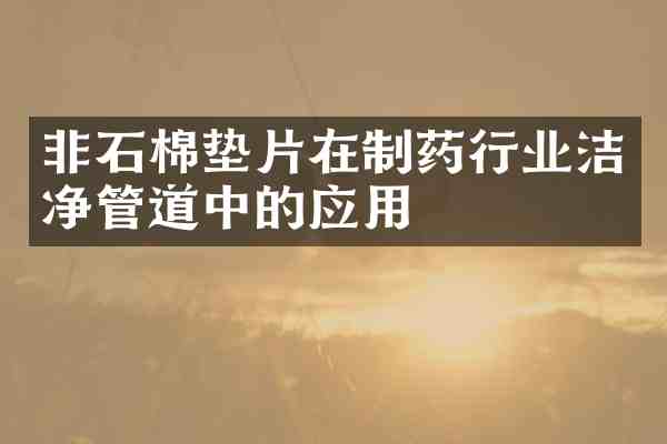 非石棉垫片在制药行业洁净管道中的应用
