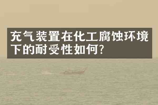 充气装置在化工腐蚀环境下的耐受性如何?