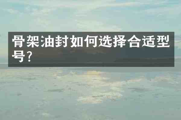 骨架油封如何选择合适型号？