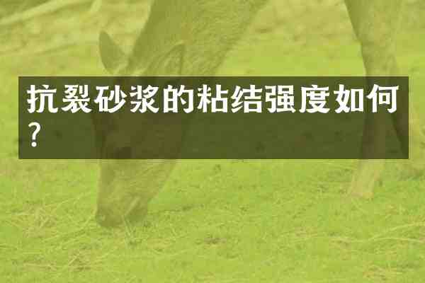 抗裂砂浆的粘结强度如何?
