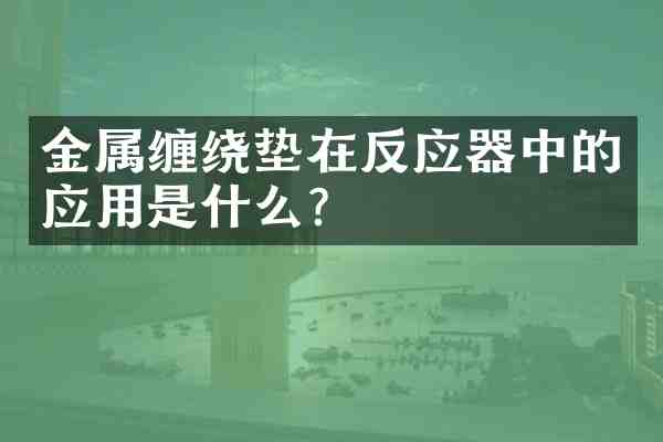 金属缠绕垫在反应器中的应用是什么?