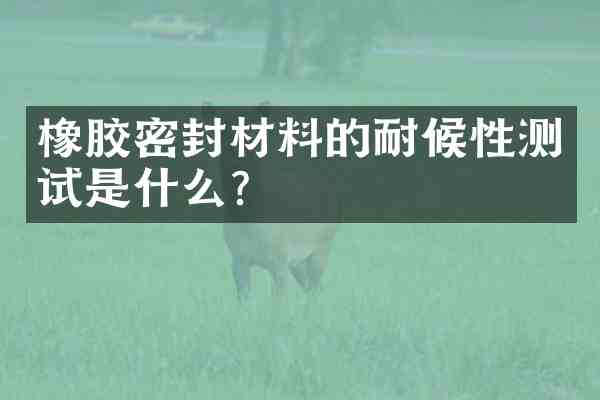 橡胶密封材料的耐候性测试是什么?