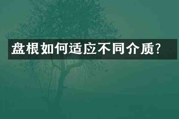 盘根如何适应不同介质?