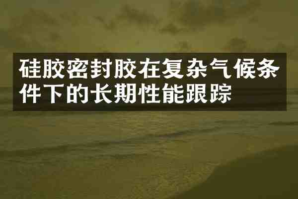 硅胶密封胶在复杂气候条件下的长期性能