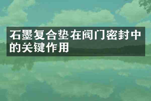 石墨复合垫在阀门密封中的关键作用